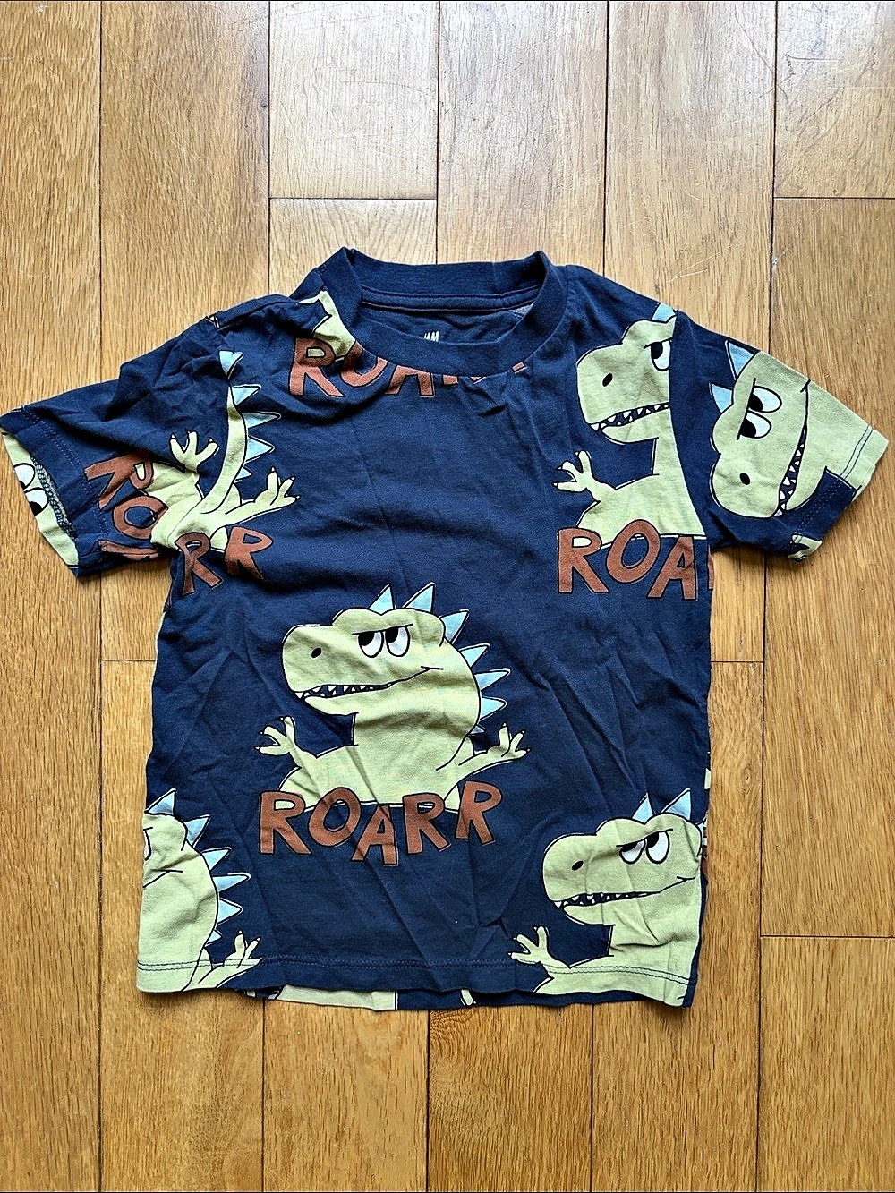 H&M Boys Dinosaur Graphic Tee